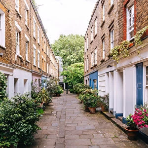 Green alley with residential houses in Fitzrovia district, London, UK