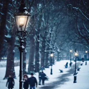Snowy Green Park Print, London Snowy Green Park Print, London
