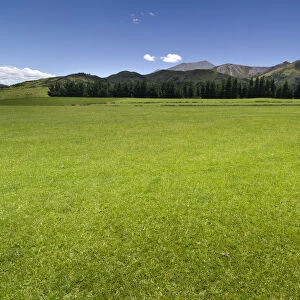 Green pasture, mountain range in the Canterbury Highlands at the back, South Island, New Zealand
