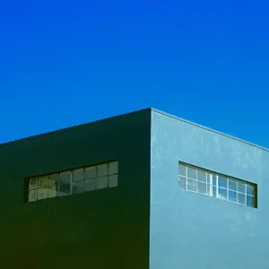 Green Shadow Green Shadow