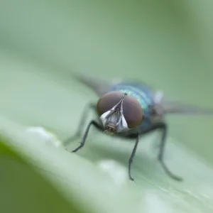 Images Dated 2011 June: 16 Jun 2011