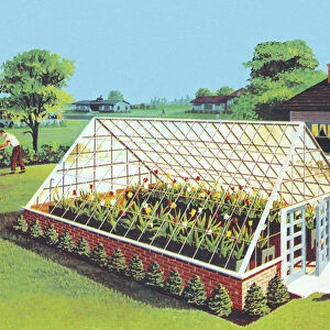 Greenhouse in Backyard