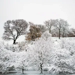 Greenwich Park, London in the Snow Greenwich Park, London in the Snow