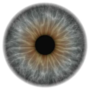 Grey Eye Print - Computer Artwork of an Iris and Pupil Grey Eye Print - Computer Artwork of an Iris and Pupil