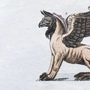 Griffin, hand - colored engraving from Friedrich Justin Bertuch Picture book for children