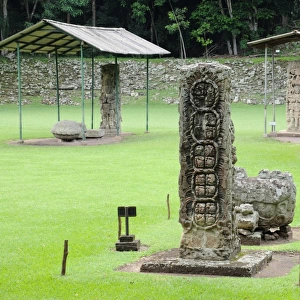 Group of Ancient Maya Stela Stone Statues, Copan
