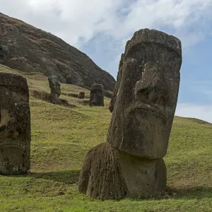 Group of Moai, the bodies are buried in the ground, only the heads are visible, Rano Raraku, Easter Island, Chile Group of Moai, the bodies are buried in the ground, only the heads are visible, Rano Raraku, Easter Island, Chile
