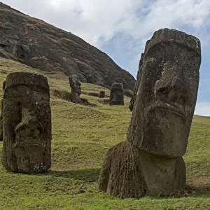 Group of Moai, the bodies are buried in the ground, only the heads are visible, Rano Raraku, Easter Island, Chile