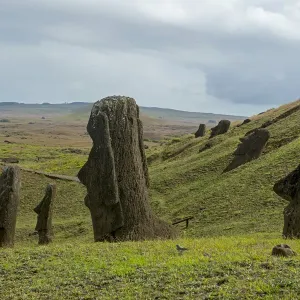 Group of Moai statues, Rano Raraku, Easter Island, Chile Group of Moai statues, Rano Raraku, Easter Island, Chile