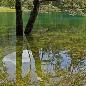 Gruner See or Green Lake, Tragoss, Styria, Austria