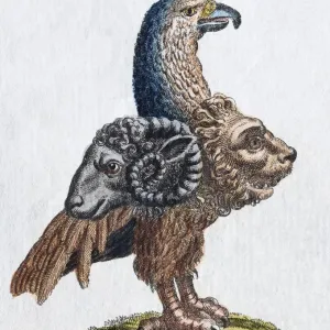 Gryllus Handcoloured Copper Engraving Print