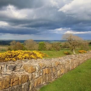 Hadrians wall in England, near Black carts turret