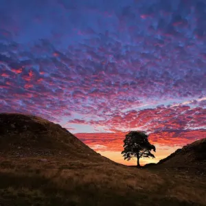 John Finney Photography