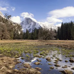Half Dome with reflections seen from Cooks Meadow, Yosemite National Park, California, USA