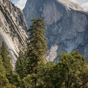 Half Dome through the Valley Half Dome through the Valley