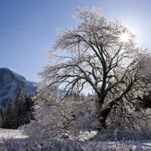 Half Dome, Yosemite National Park Half Dome, Yosemite National Park