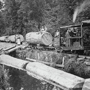 Handmade Logging Train