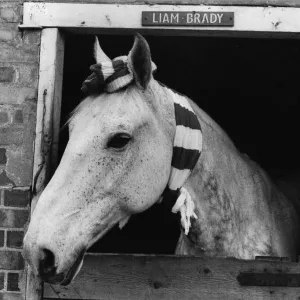 Images Dated 1978 May: 5 May 1978