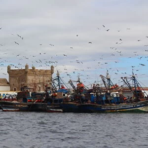 Harbour of Essaouira and Genoese-built citadel