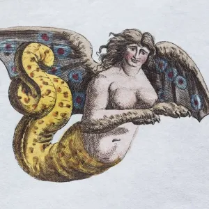 Harpyie Hand-Colored Copper Engraving Print
