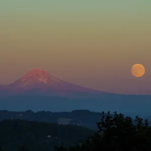 Harvest Moon over Mount Hood, Oregon