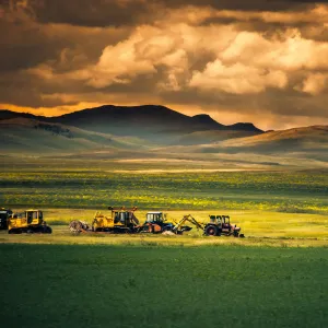 Harvest in siberia