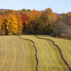 Images Dated 2011 October: 11 Oct 2011