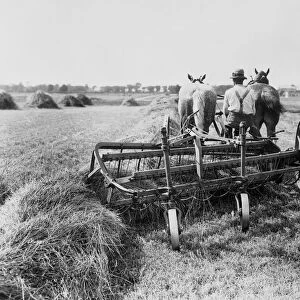 Haymaking In Canada