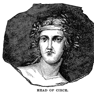 Head of Circe