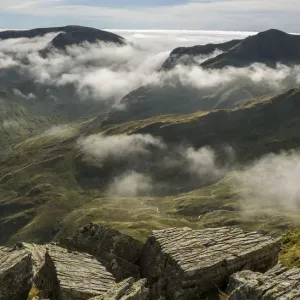 The head of Grizedale