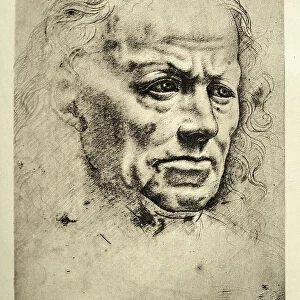 Head of an old man by Leonardo da Vinci, Early renaissance art