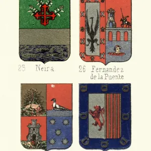 Vintage Coat of Arms Print, 18th Century Engraving Vintage Coat of Arms Print, 18th Century Engraving