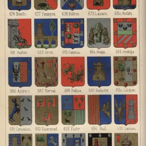 Vintage Engraving Print of Spanish Heraldry Vintage Engraving Print of Spanish Heraldry
