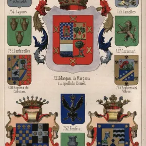 Vintage Engraving Print of Spanish Heraldry Coats of Arms Vintage Engraving Print of Spanish Heraldry Coats of Arms