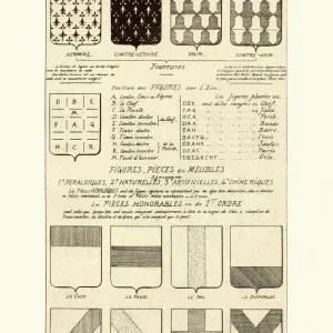 Vintage Engraving Print of Heraldry Examples Vintage Engraving Print of Heraldry Examples