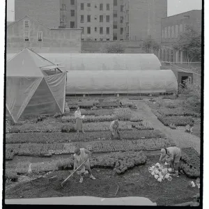 Images Dated 1983 July: 22 Jul 1983