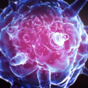Herpes virus
