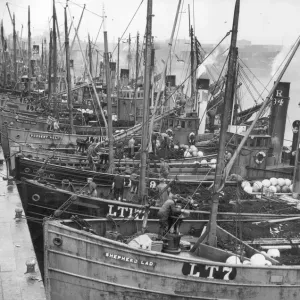 Herring Fleet Drifters Unload at Lowestoft Print