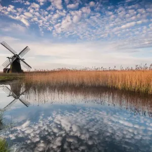 Herringfleet Spotty II Herringfleet Spotty II