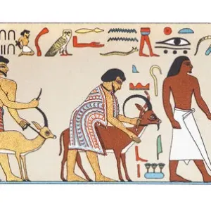 Hieroglyphics in egypt Hieroglyphics in egypt