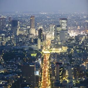High angle view of Tokyo, Japan at dusk