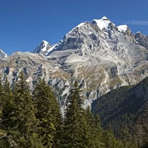 Hikers on a trail, summit of Mt Jungfrau at back, Muerren, Bernese Oberland, Switzerland, Europe