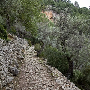 Hiking path in Sierra de Tramuntana