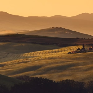 The hills of Tuscany
