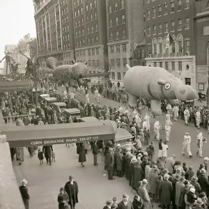 Hippo Balloon in Macy's Thanksgiving Parade Hippo Balloon in Macy's Thanksgiving Parade