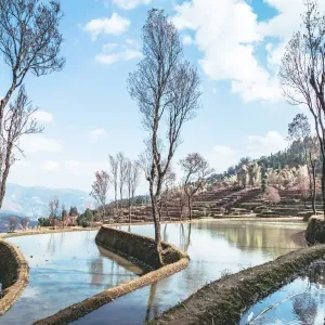 Honghe Hani Rice terraces Landscape Honghe Hani Rice terraces Landscape