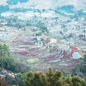 Honghe Hani Rice terraces Landscape Honghe Hani Rice terraces Landscape