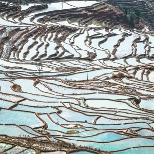 Honghe Landscape Honghe Landscape