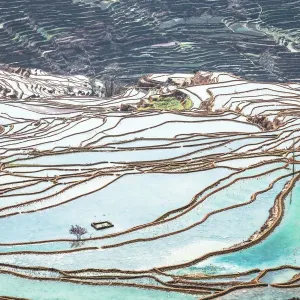Honghe Landscape Honghe Landscape