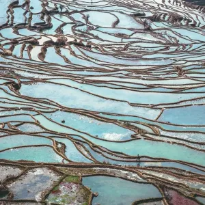Honghe Landscape Honghe Landscape